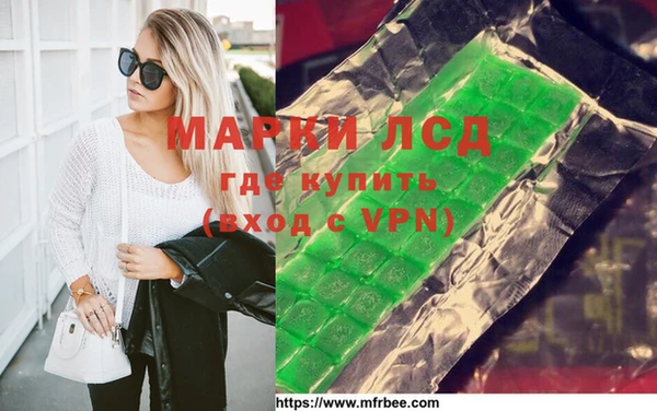 спайс Алзамай