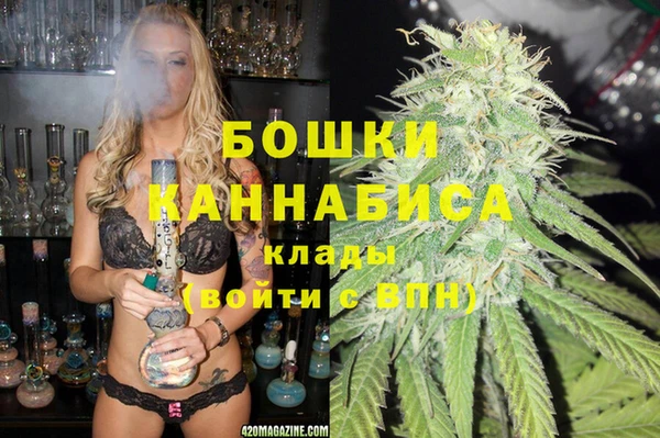 спайс Алзамай