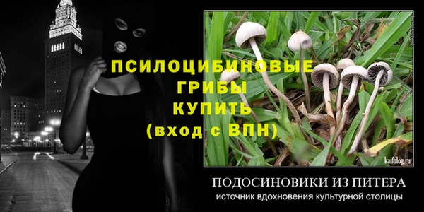 МДПВ Алексин